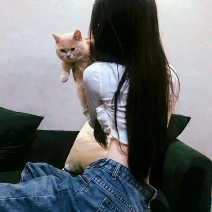 双龙会粤语